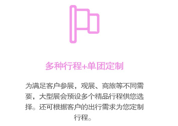 多種行程可選，還可根據(jù)參展企業(yè)的情況，私人個(gè)性訂制商旅行程！